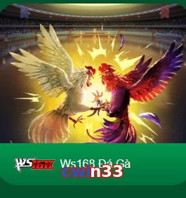 cwin33